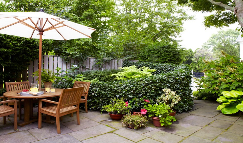Clever Budget Garden Ideas Worth Trying